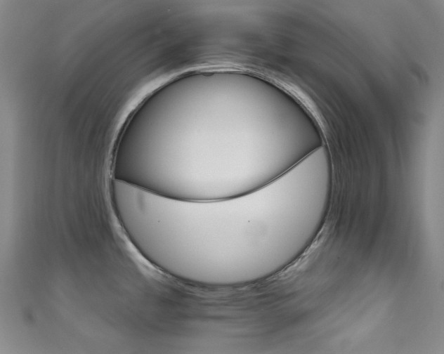 X0000111591485200907161443