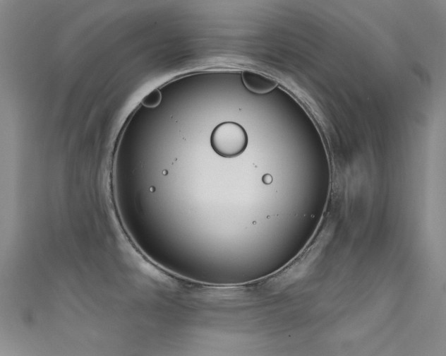 X0000111591486200907161443