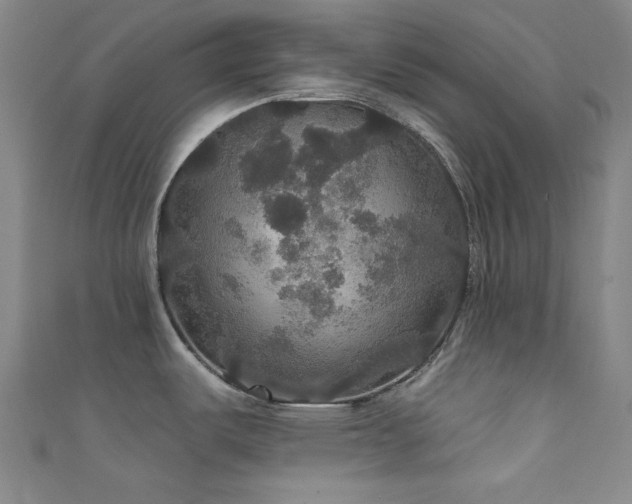 X0000111591487200907161443