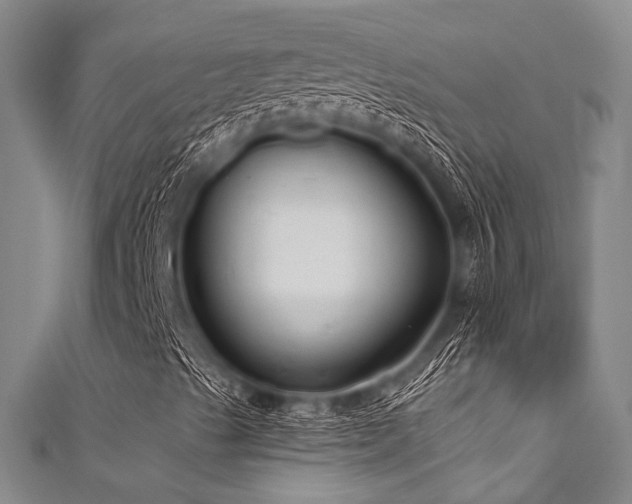 X0000111591489200907161442