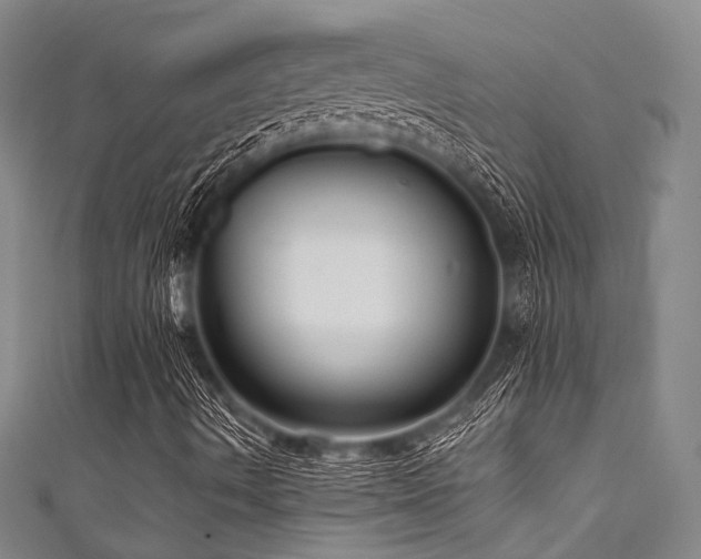 X0000111591490200907161442