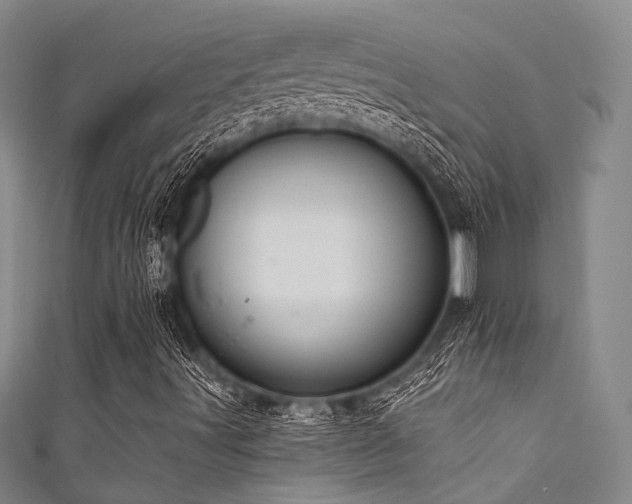 X0000111591491200907161442