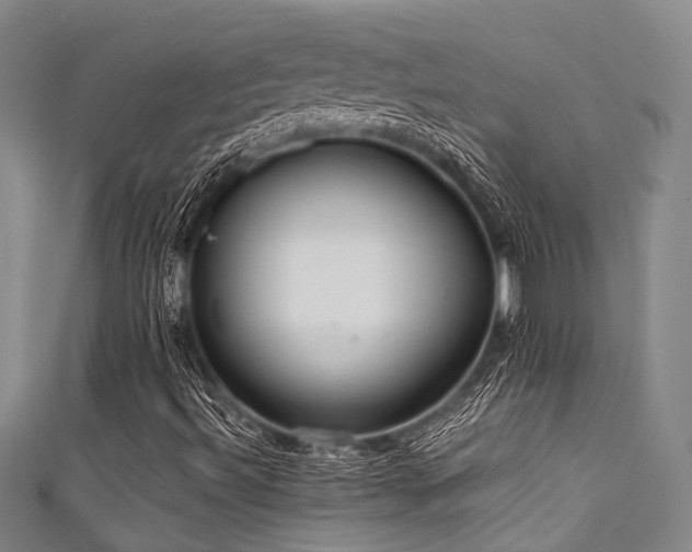 X0000111591492200907161442