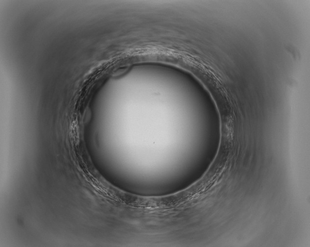 X0000111591493200907161442