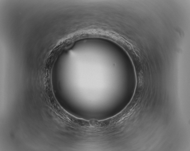 X0000111591494200907161443