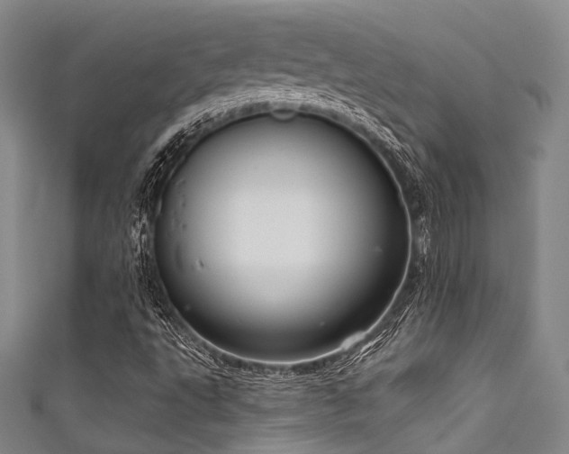 X0000111591495200907161443