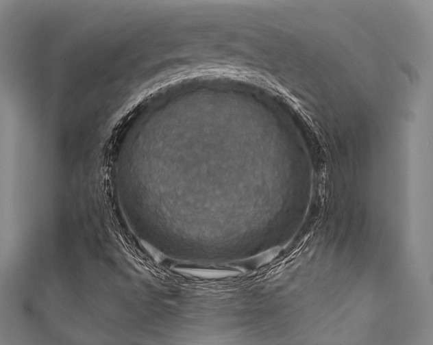 X0000111591496200907161443