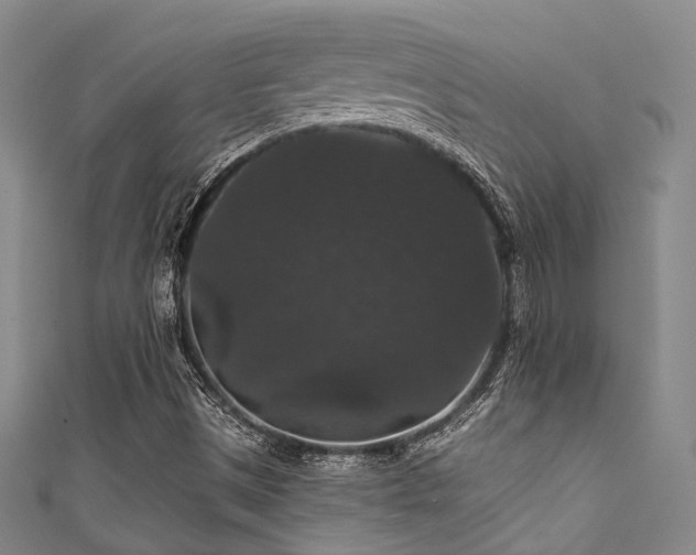 X0000111591497200907161443