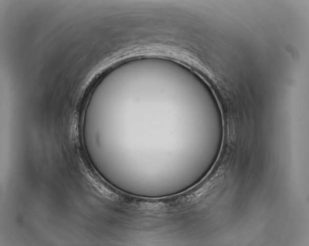 X0000111591498200907161443