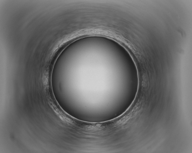 X0000111591499200907161443