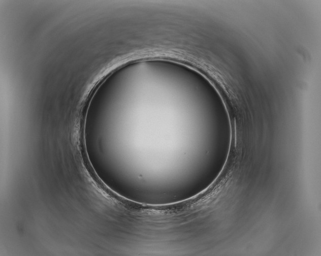 X0000111591500200907161443