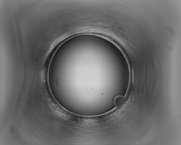 X0000111591501200907161443