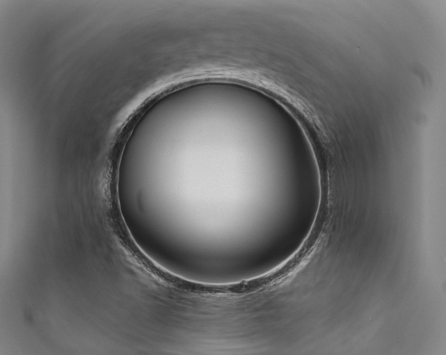 X0000111591502200907161443