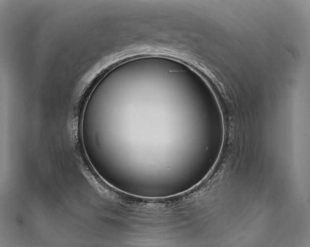 X0000111591503200907161443