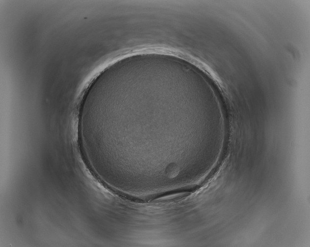 X0000111591504200907161443