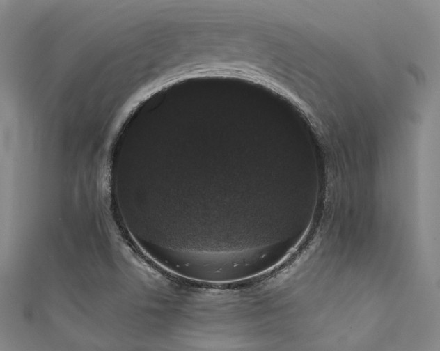 X0000111591506200907161443