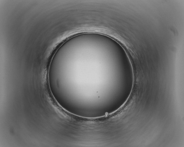 X0000111591507200907161443