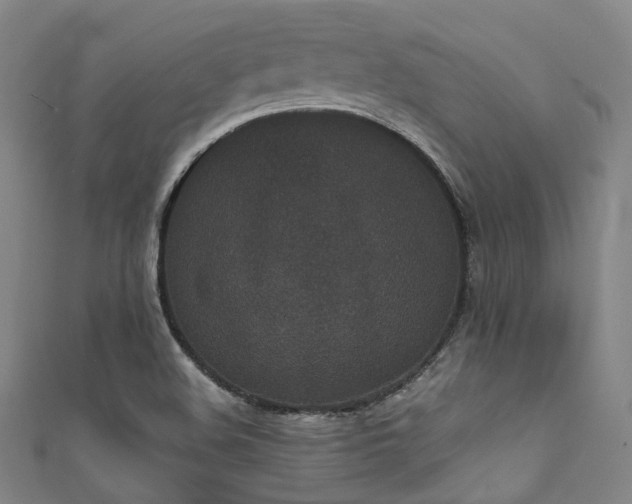 X0000111591508200907161443