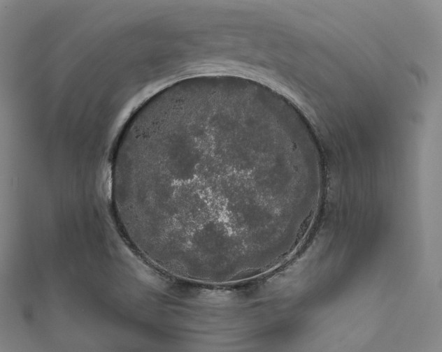 X0000111591509200907161443