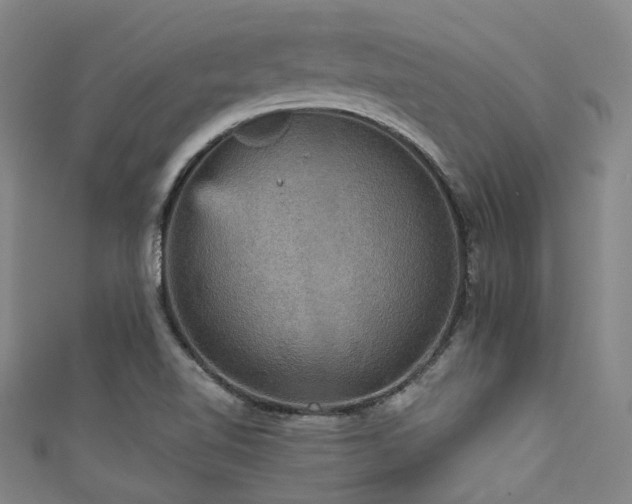 X0000111591510200907161443