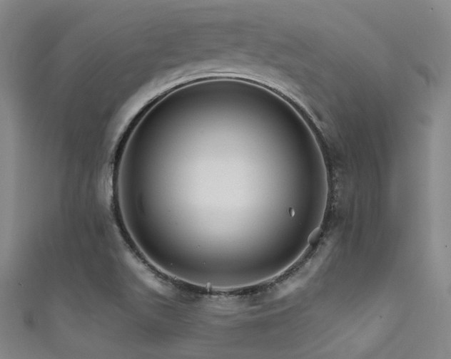 X0000111591511200907161443