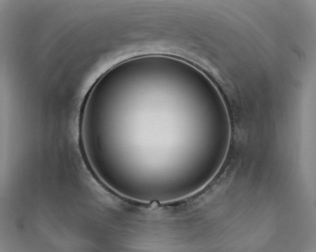 X0000111591512200907161443