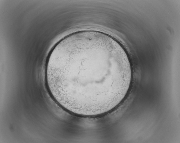 X0000111591514200907161443