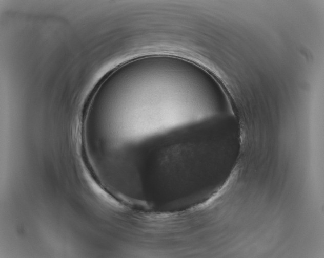 X0000111591515200907161443