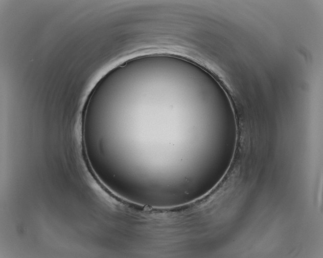 X0000111591516200907161443