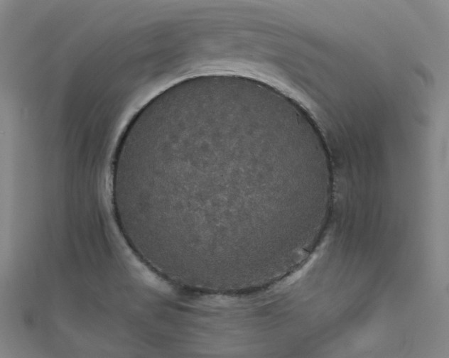 X0000111591517200907161443