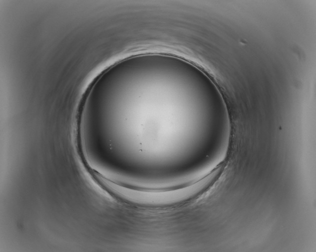 X0000111591518200907161443