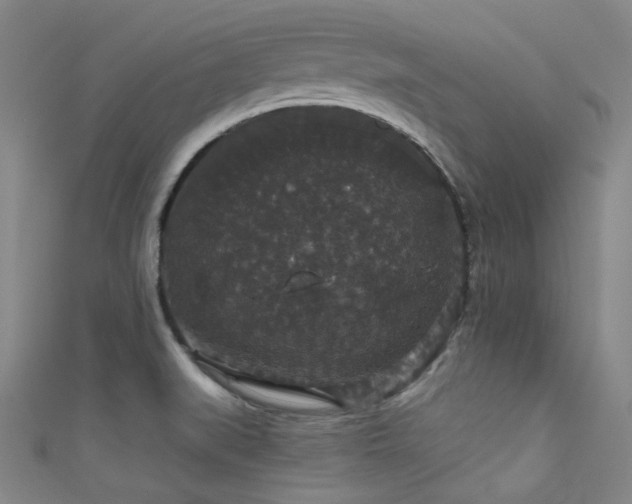 X0000111591519200907161443