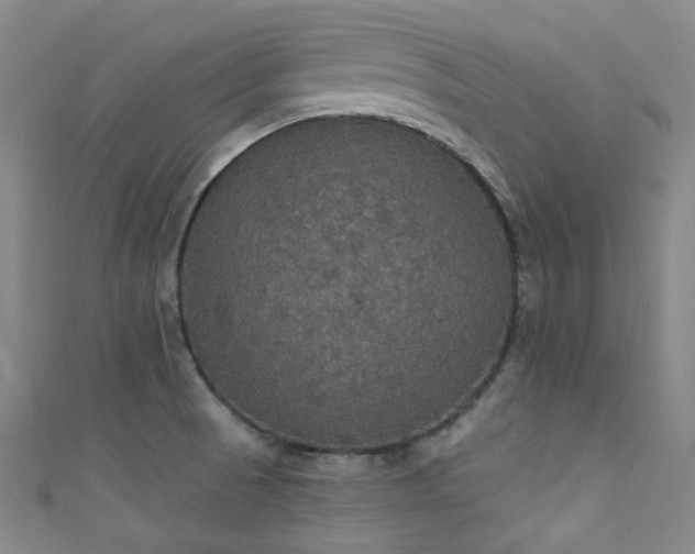 X0000111591521200907161443