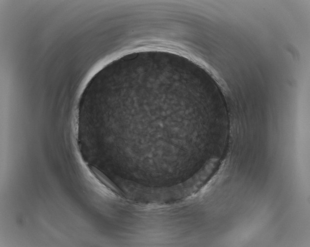 X0000111591522200907161443