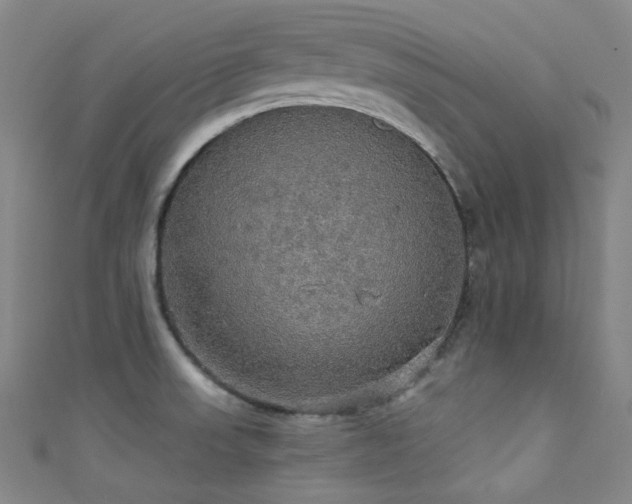 X0000111591523200907161443