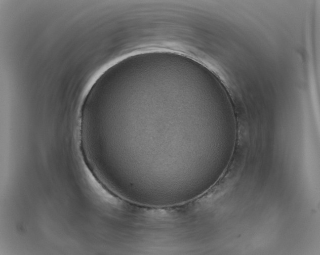 X0000111591524200907161443