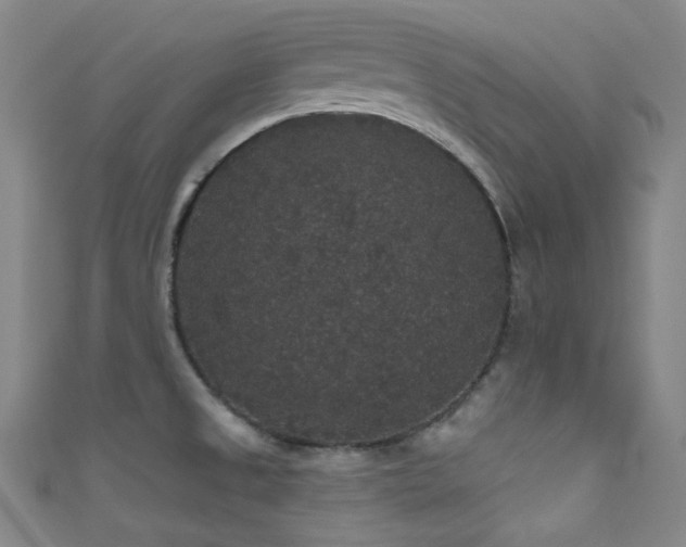 X0000111591525200907161443