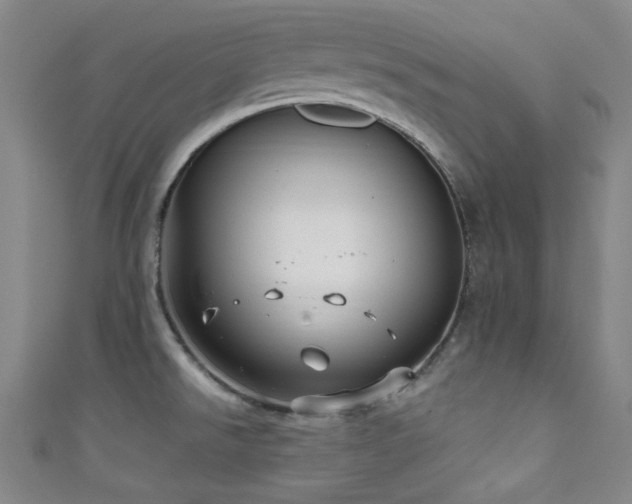 X0000111591526200907161443