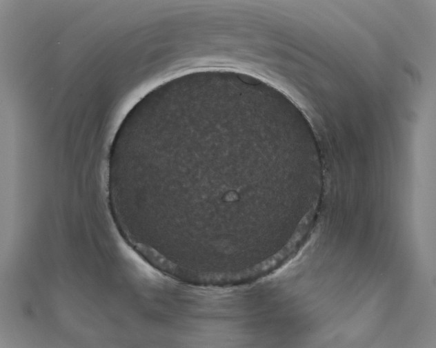 X0000111591527200907161443