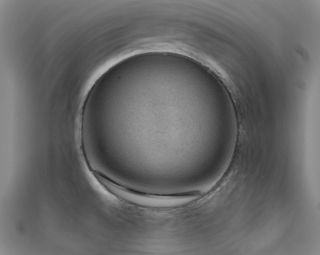 X0000111591528200907161443