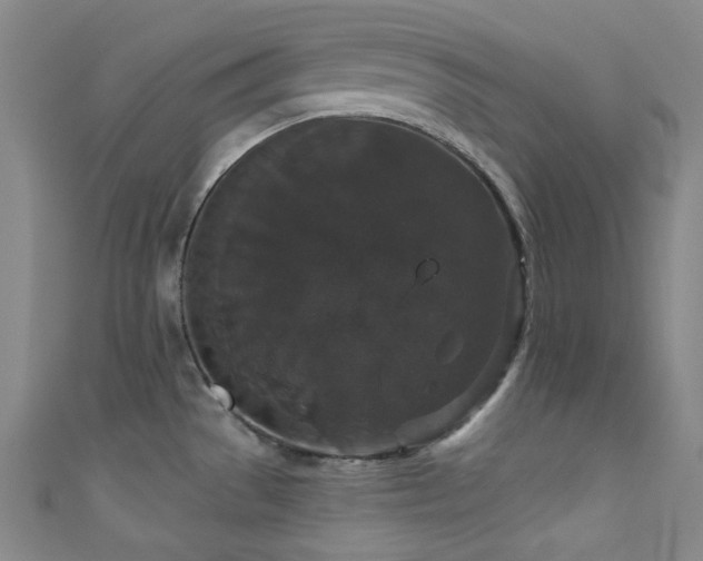 X0000111591529200907161443