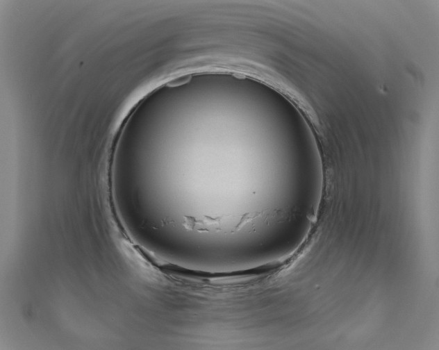 X0000111591530200907161443