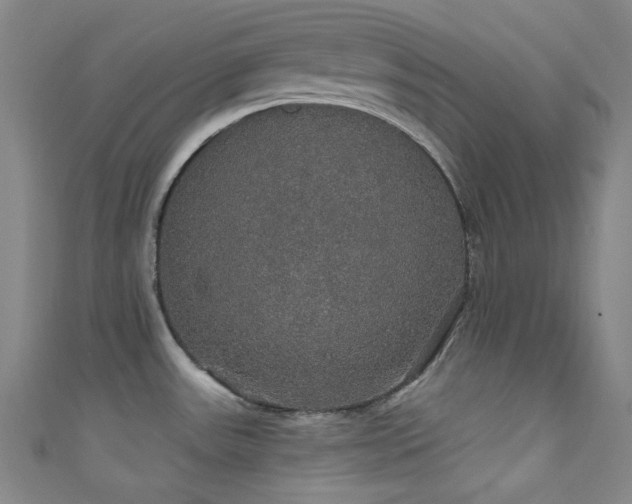 X0000111591531200907161443