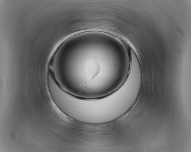 X0000111591532200907161443