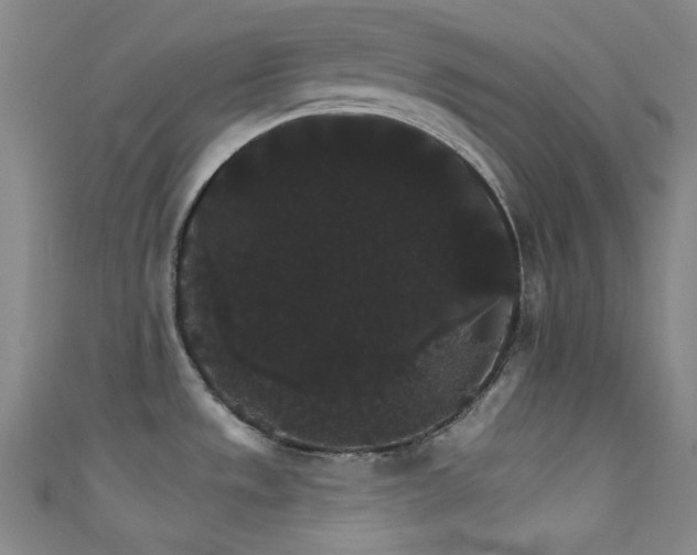 X0000111591533200907161443