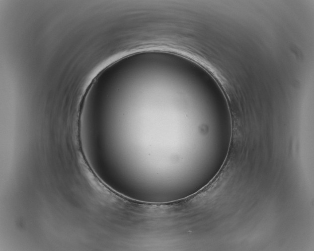 X0000111591534200907161443