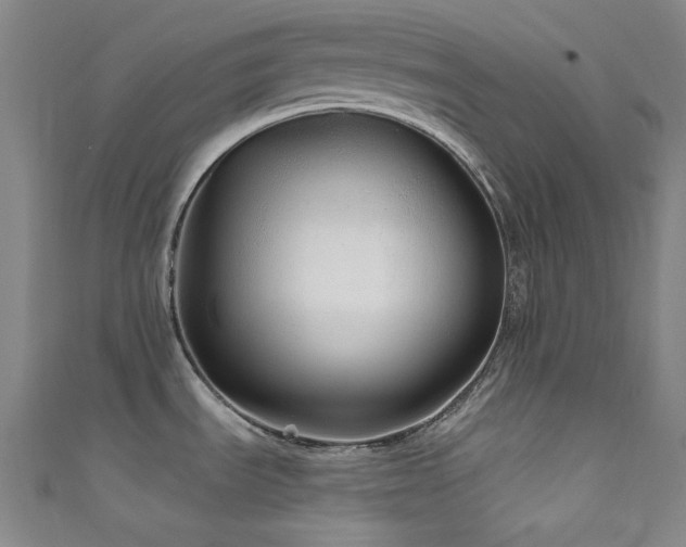 X0000111591535200907161443