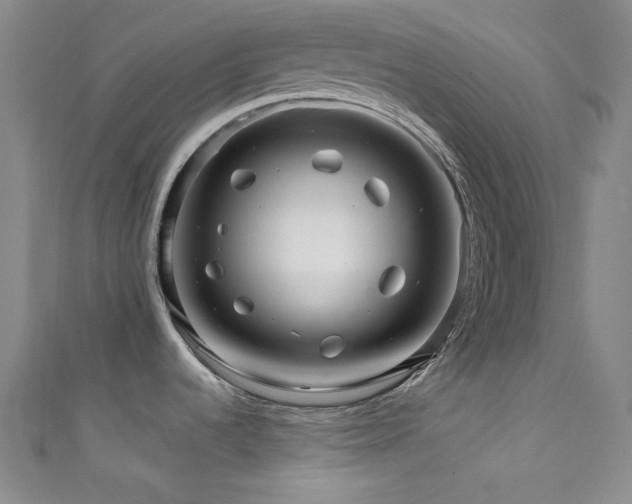 X0000111591536200907161443