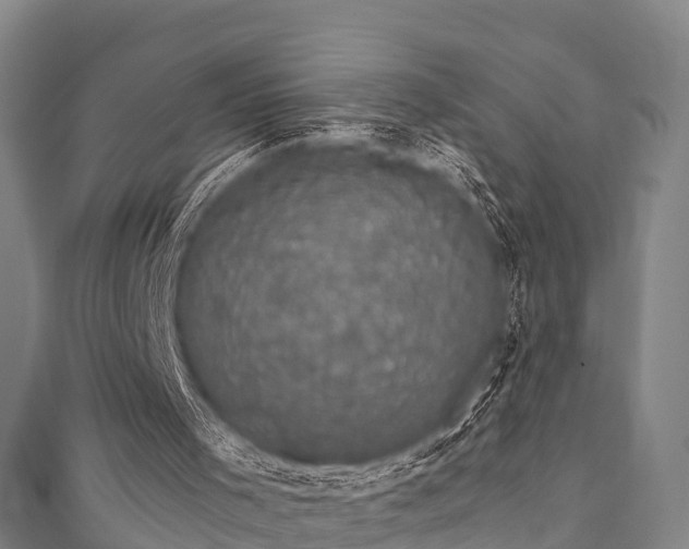 X0000111590001200907231224