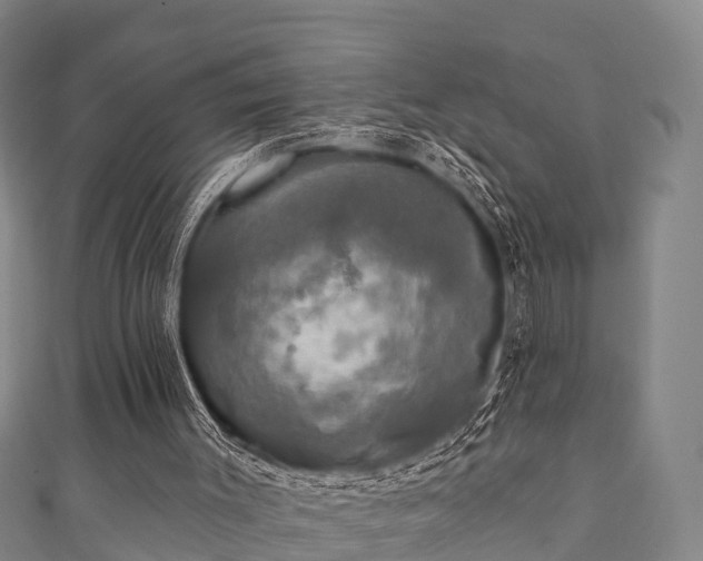 X0000111590003200907231224